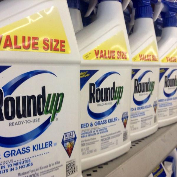 Judge kills Bayer’s plan to limit future Roundup legal liability, issues harsh criticism