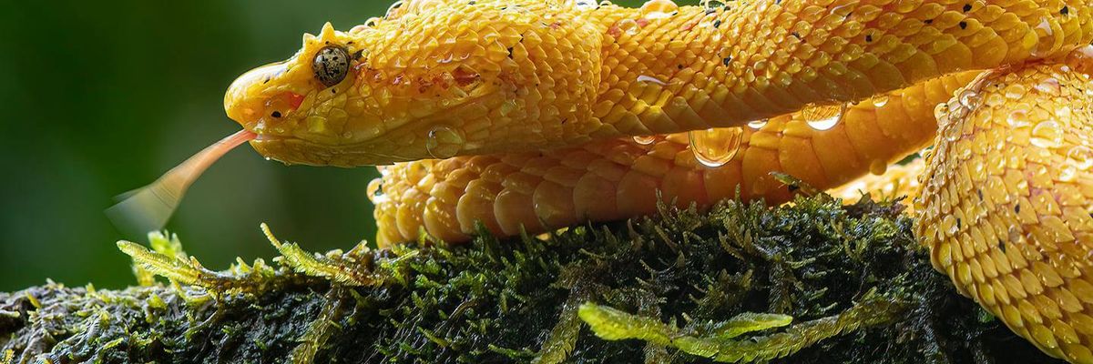 Pete Myers: We saw this coming