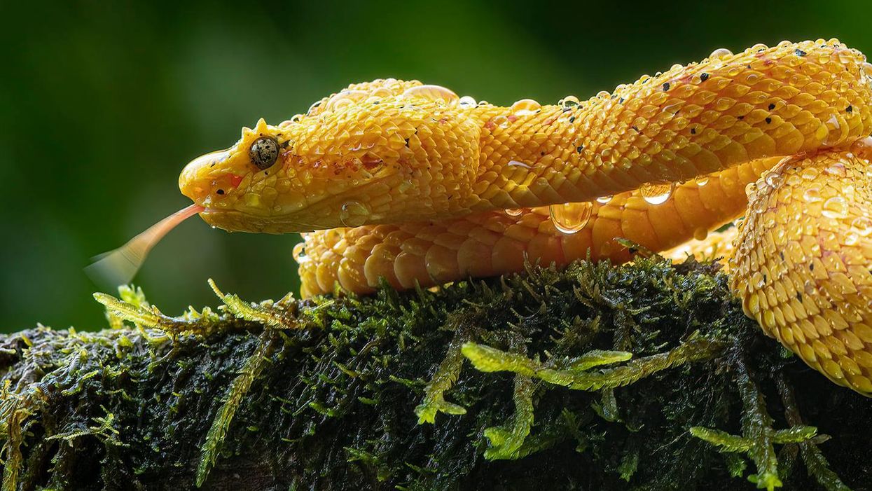 Pete Myers: We saw this coming