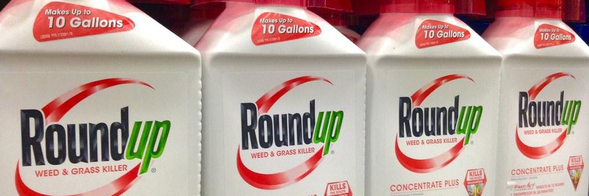 Appeals court rejects Bayer’s bid to overturn Roundup trial loss, slams company for 'reckless disregard' for consumer safety