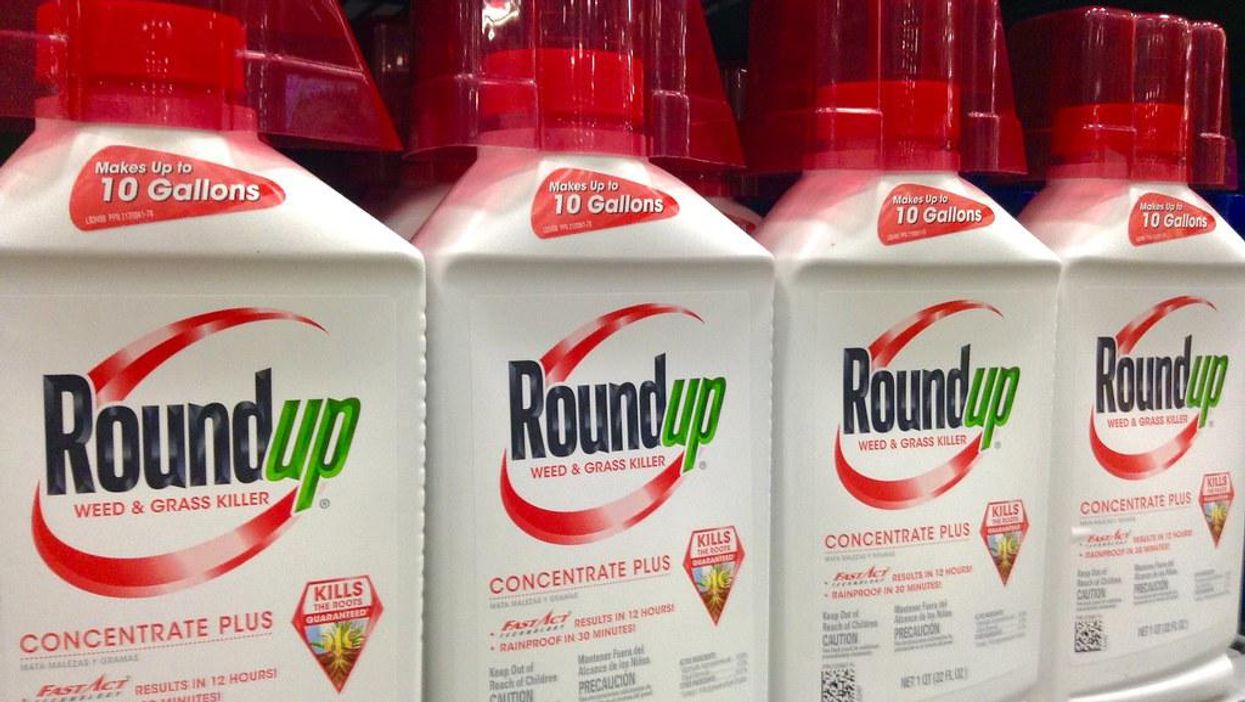 Appeals court rejects Bayer’s bid to overturn Roundup trial loss, slams company for 'reckless disregard' for consumer safety