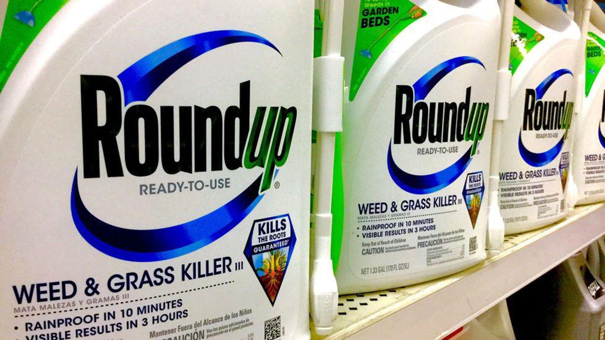 Appeals court rejects Bayer’s bid to overturn Roundup trial loss, slams company for 'reckless disregard' for consumer safety