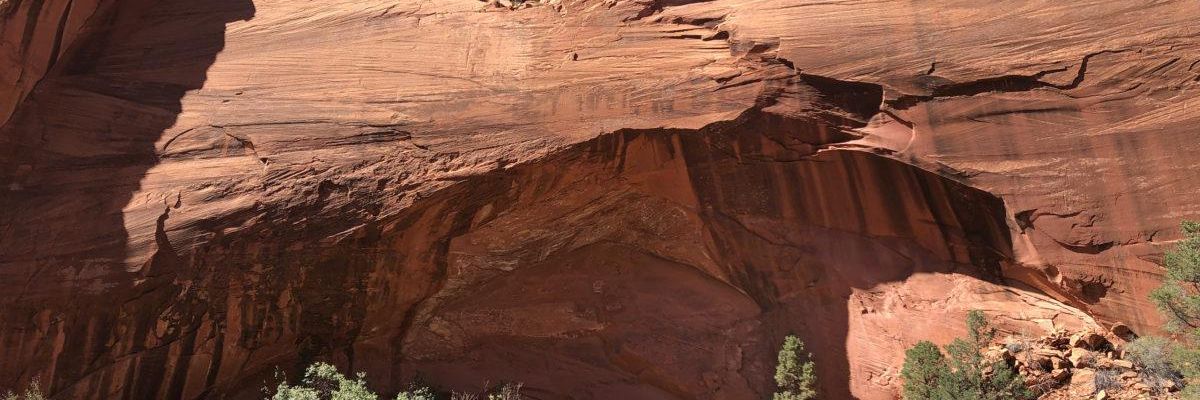 Photo Essay: Giving Bears Ears and Grand Staircase-Escalante the protection they deserve