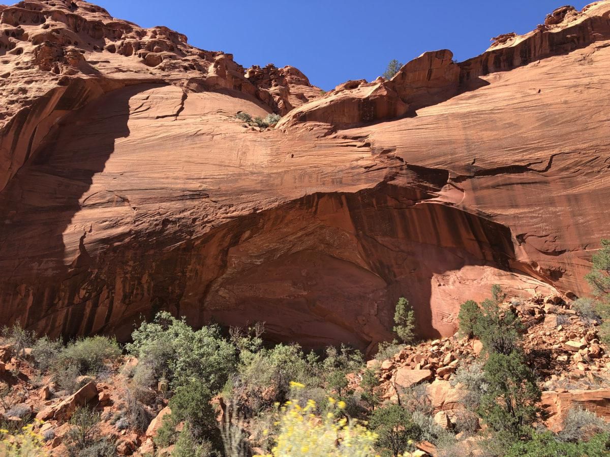 Photo Essay: Giving Bears Ears and Grand Staircase-Escalante the protection they deserve