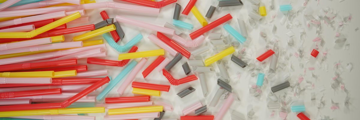 Microplastics weathered by water are more likely to infiltrate an animal’s cells