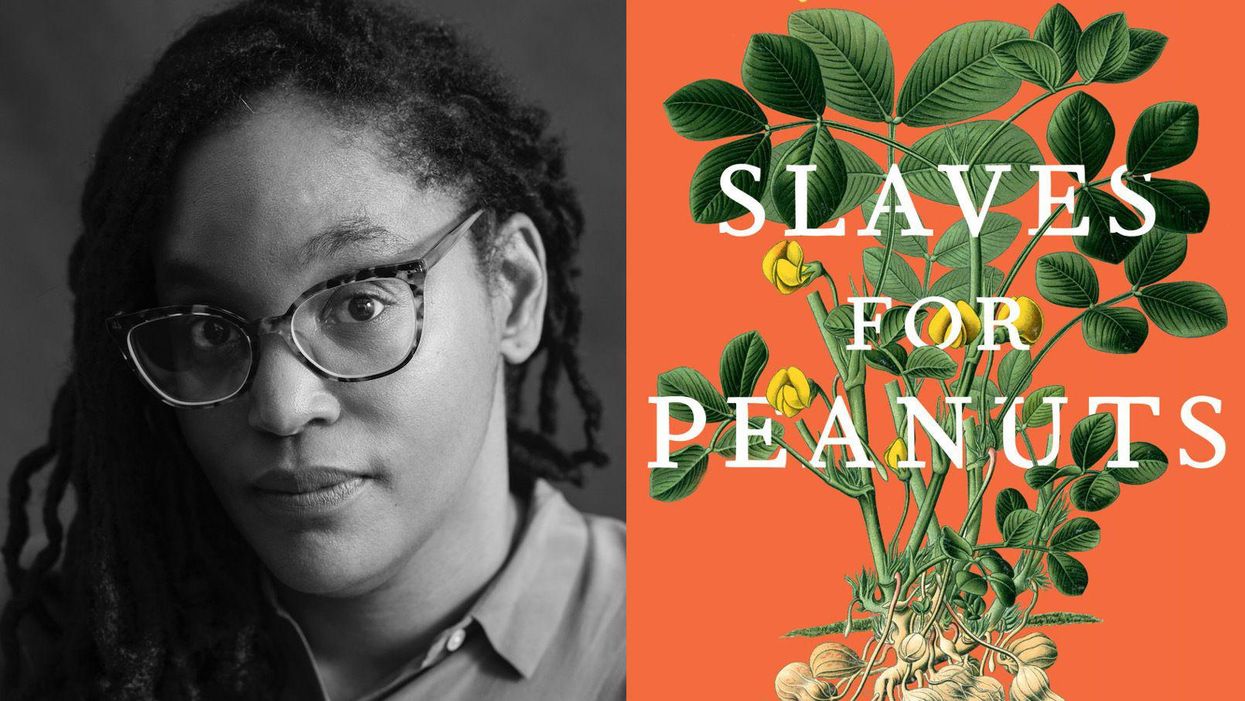 Q&A: How peanuts’ popularity spurred slavery and upended agriculture