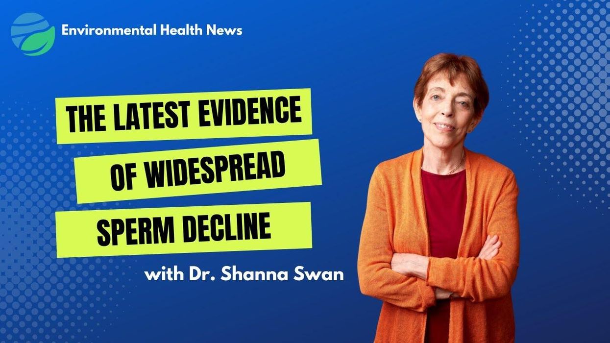 WATCH: The latest evidence of widespread sperm count decline