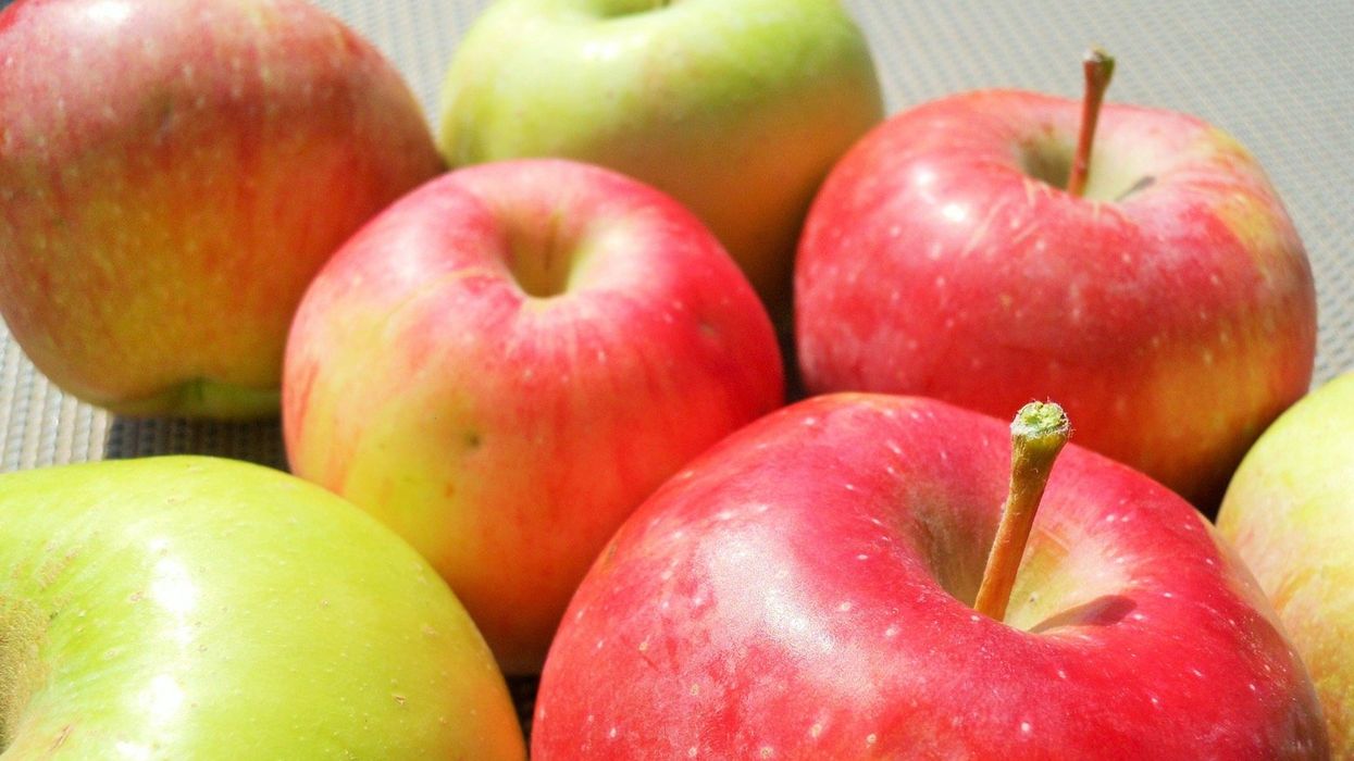 US food pesticides contaminated with toxic ‘forever chemicals’... testing finds PFAS