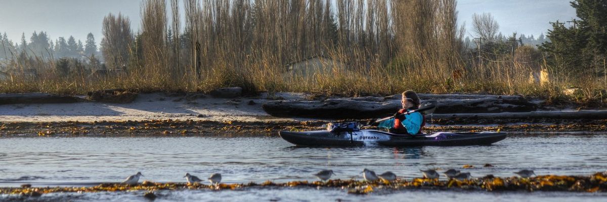 Opinion: A national wildlife refuge at risk of industrialization