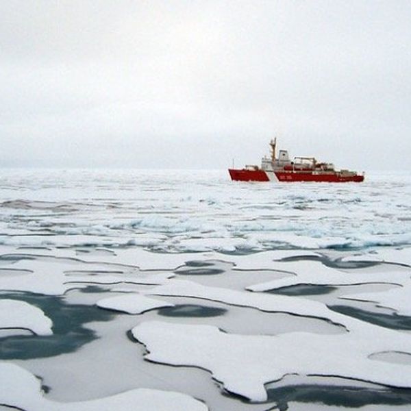 Too late now to save Arctic summer ice, climate scientists find