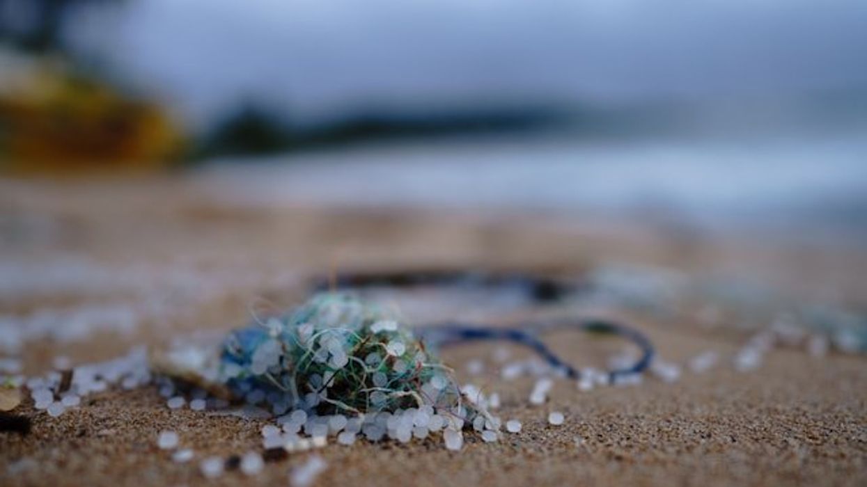 Unseen dangers of microplastic pollution highlighted by researchers