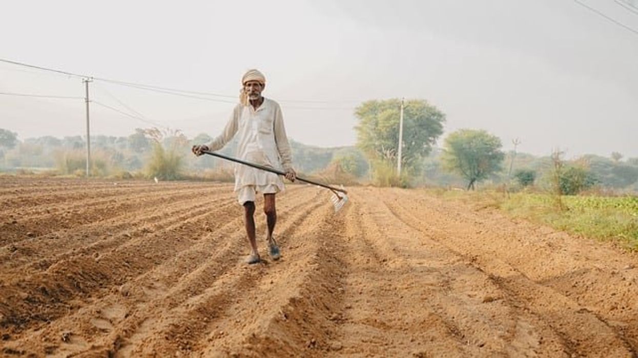 Natural farming's rise in India amid climate change