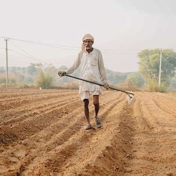 Natural farming's rise in India amid climate change