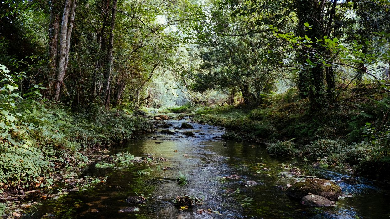 West Virginia environmental groups strike a deal for cleaner waters