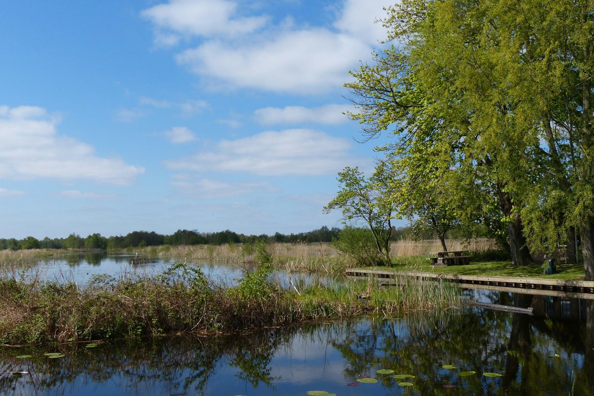New Mexico's rivers face significant pollution threats