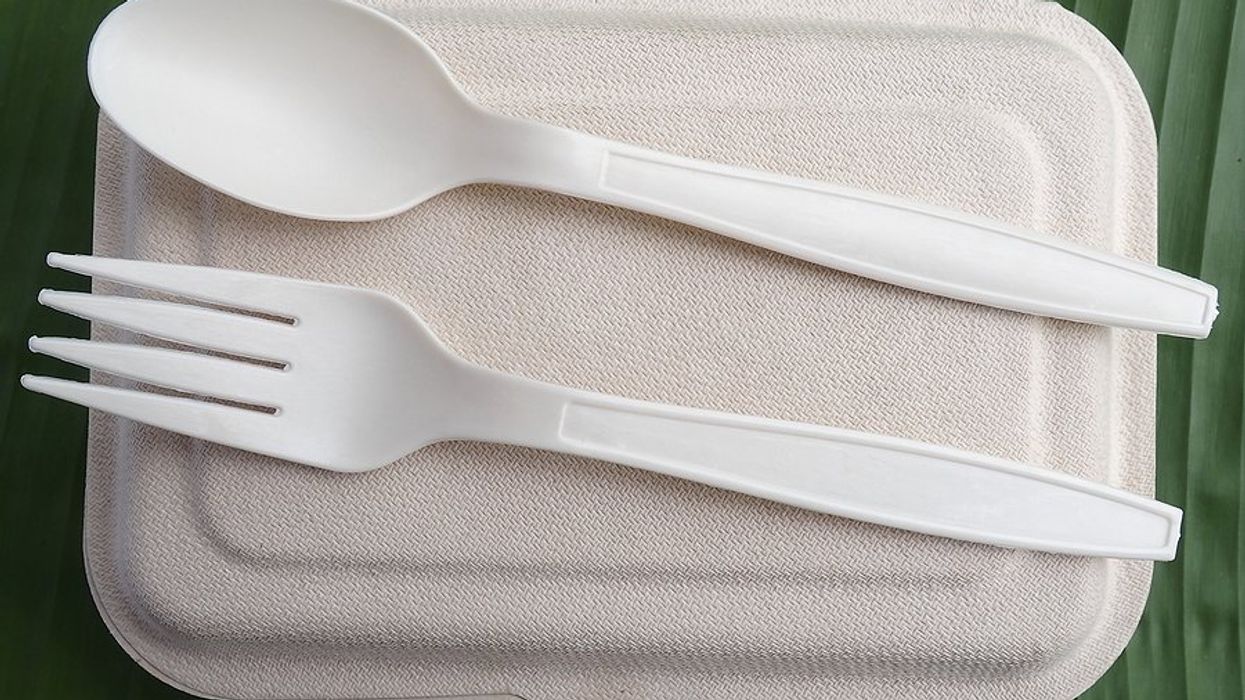 Bioplastics as harmful as traditional plastics, researchers argue