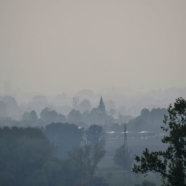 Untangling air pollution's toll on brain health