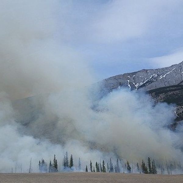 Unhealthy air pollution affects nearly 40% of Americans, report reveals