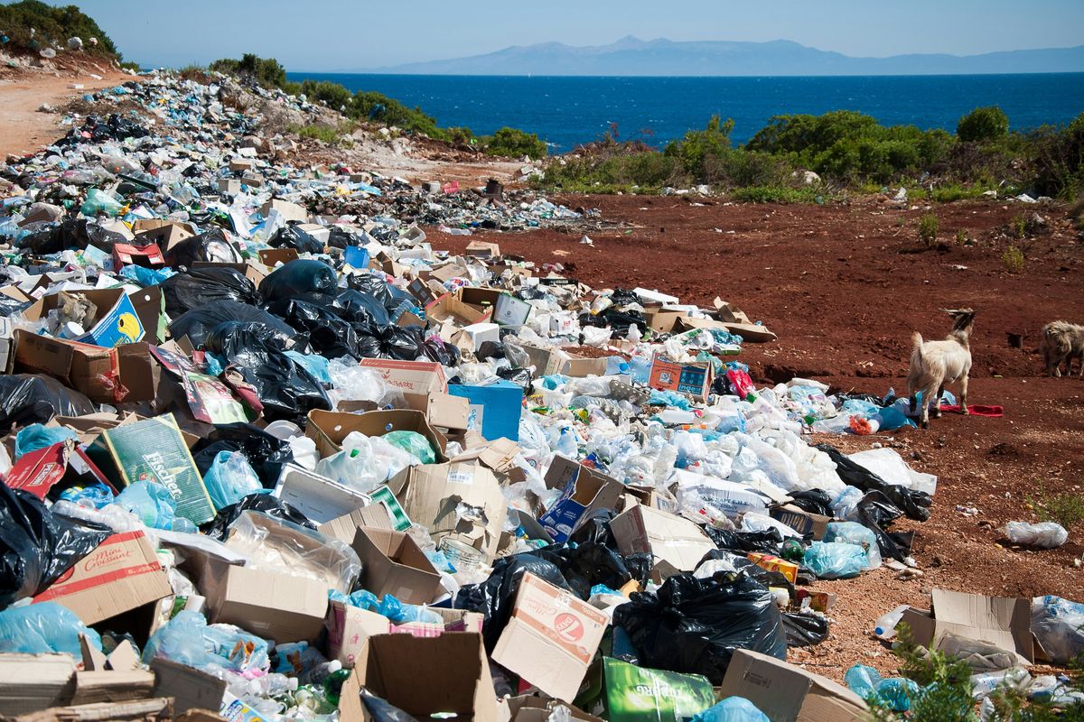 Half of the world's plastic pollution can be traced back to 56 companies