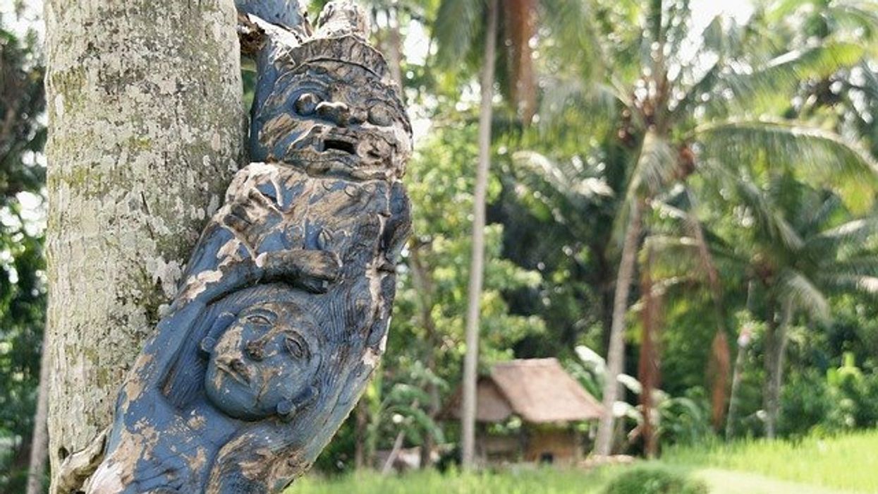 Indonesia's new president faces scrutiny over potential environmental impacts