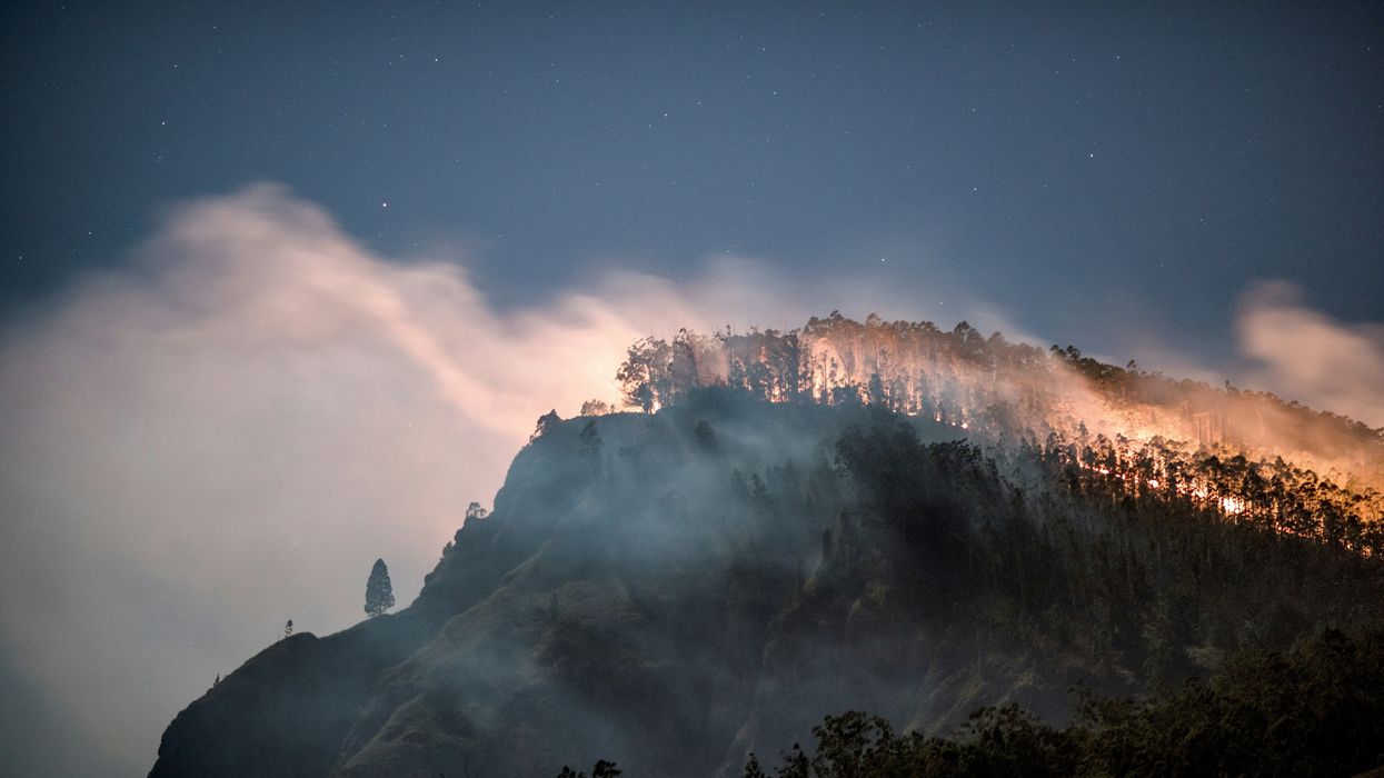 Venezuela struggles with severe wildfires and institutional failure