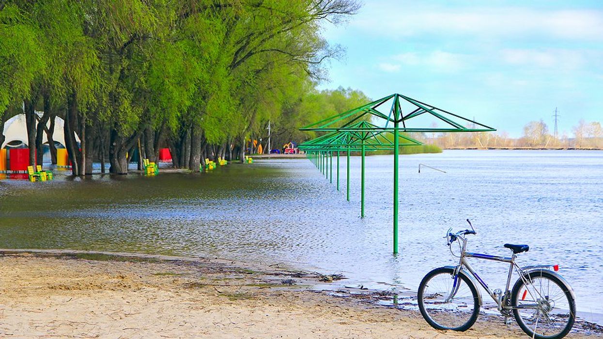 Rising tides increase fecal bacteria in coastal waters, study finds