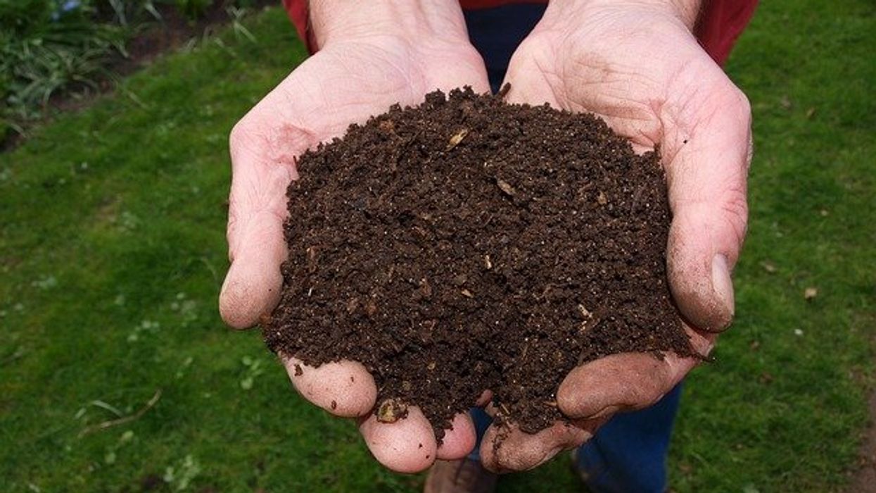 New York City's compost project ends due to budget cuts