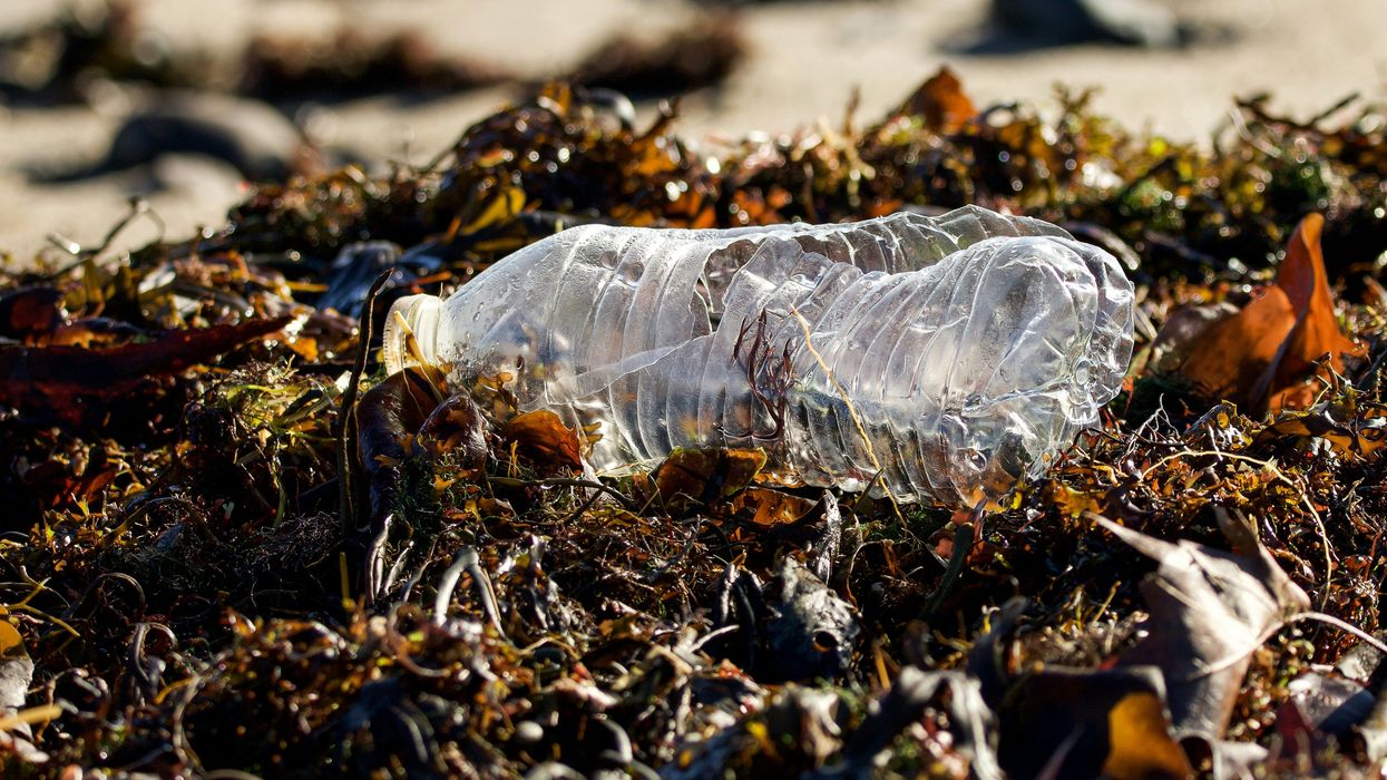 Canadá: La contaminación plástica es el nuevo frente en la guerra cultural