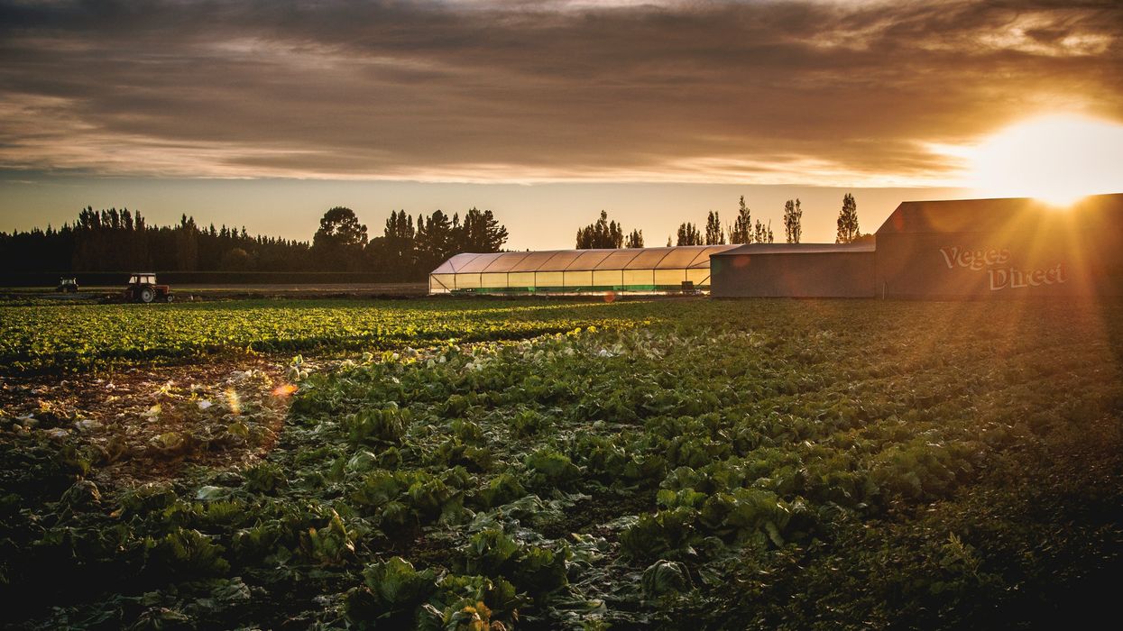 Maine farmers are key to PFAS contamination program success