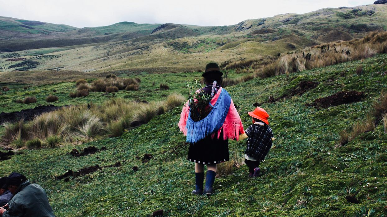 Indigenous land rights crucial for climate success