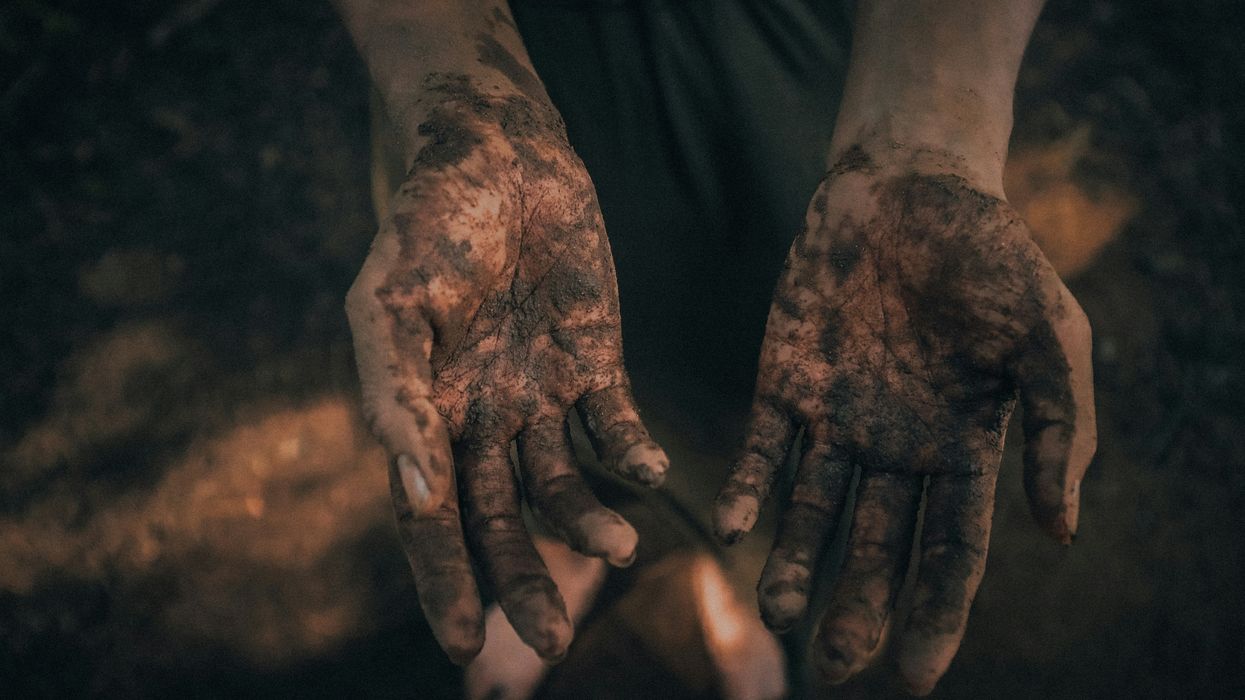 Waste companies in NSW breached safety rules for soil contamination