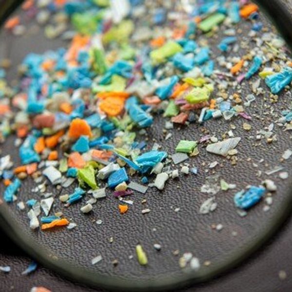 Webinar: micro- and nano-plastics and public health: EU research findings