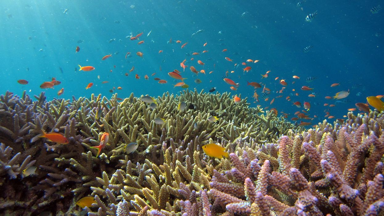 Oceans under threat from heating, deoxygenation, and acidification