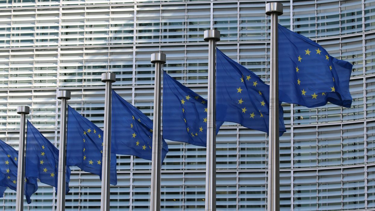 Ursula von der Leyen's Green Deal struggles amid election campaign