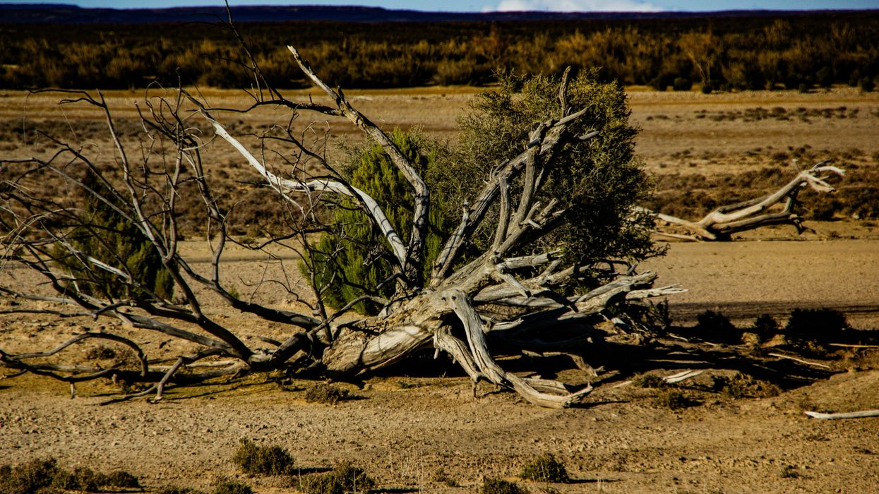 Texas farmers face rising costs as drought worsens