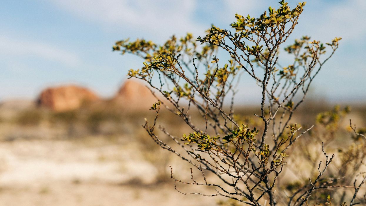 Tourism boom in West Texas community raises concerns over water supply
