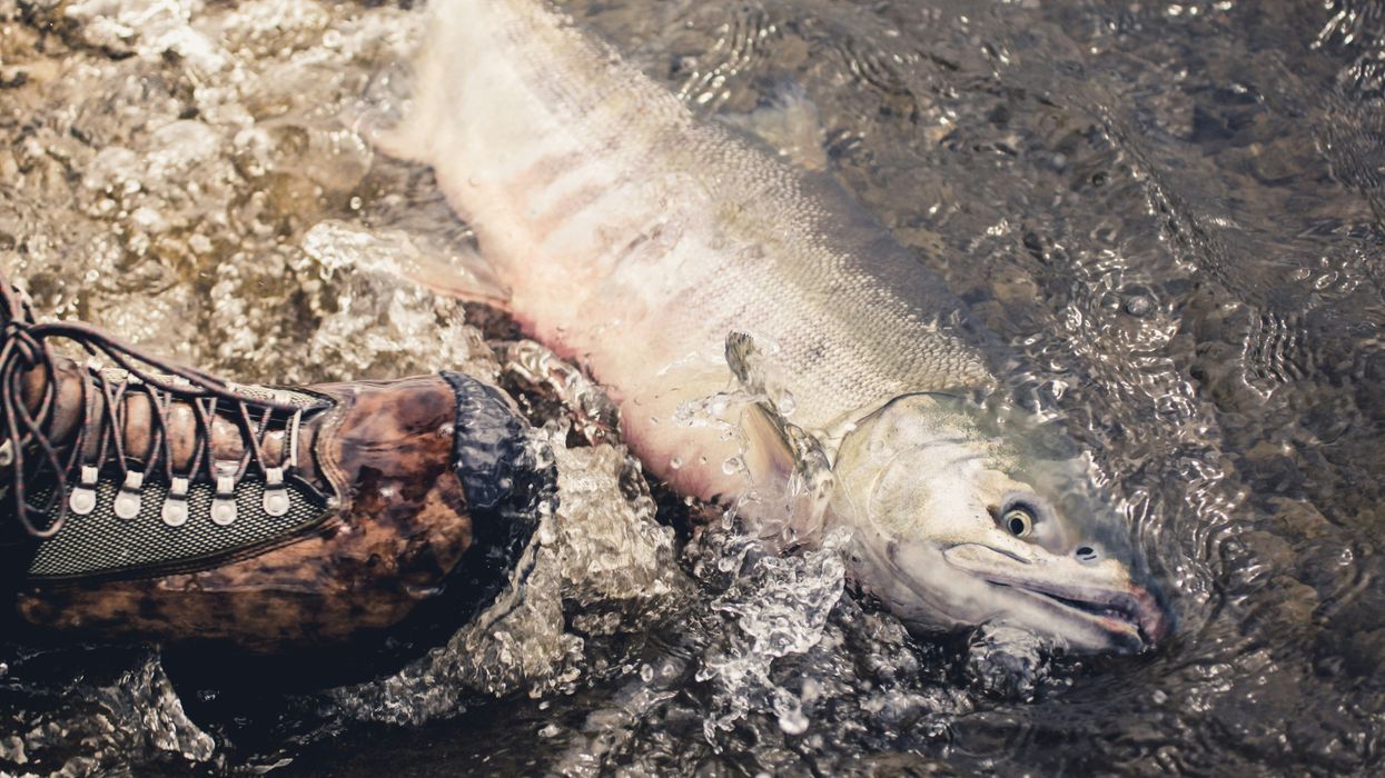 Alaskans' fish consumption prompts US EPA to call for updated water pollution standards