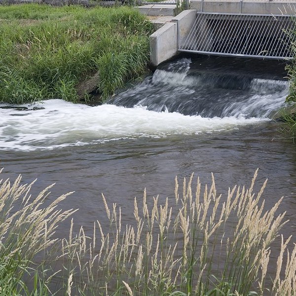 Ontario First Nation seeks international help for mercury pollution crisis