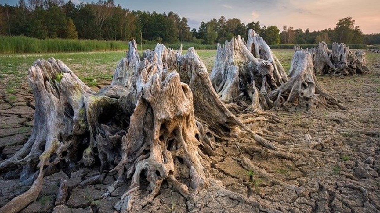 Drought intensifies across the eastern US