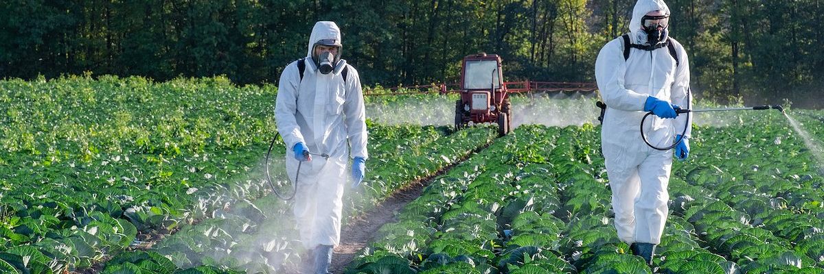 California launches statewide pesticide notification system
