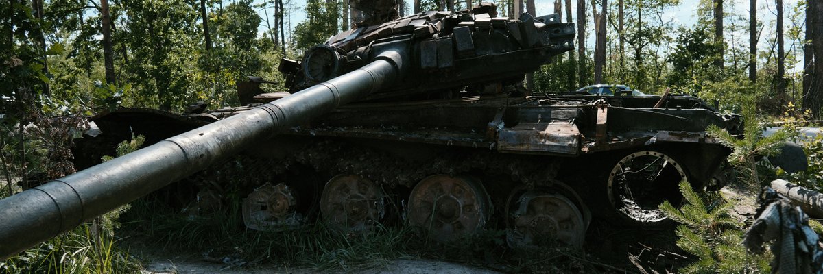 Ukraine's wartime environmental damage could lead to long-term ecological recovery