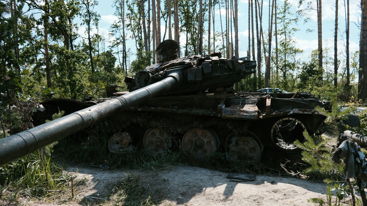 Ukraine's wartime environmental damage could lead to long-term ecological recovery