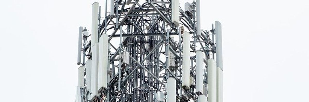 6G radiation impacts male rat fertility rates, new study finds