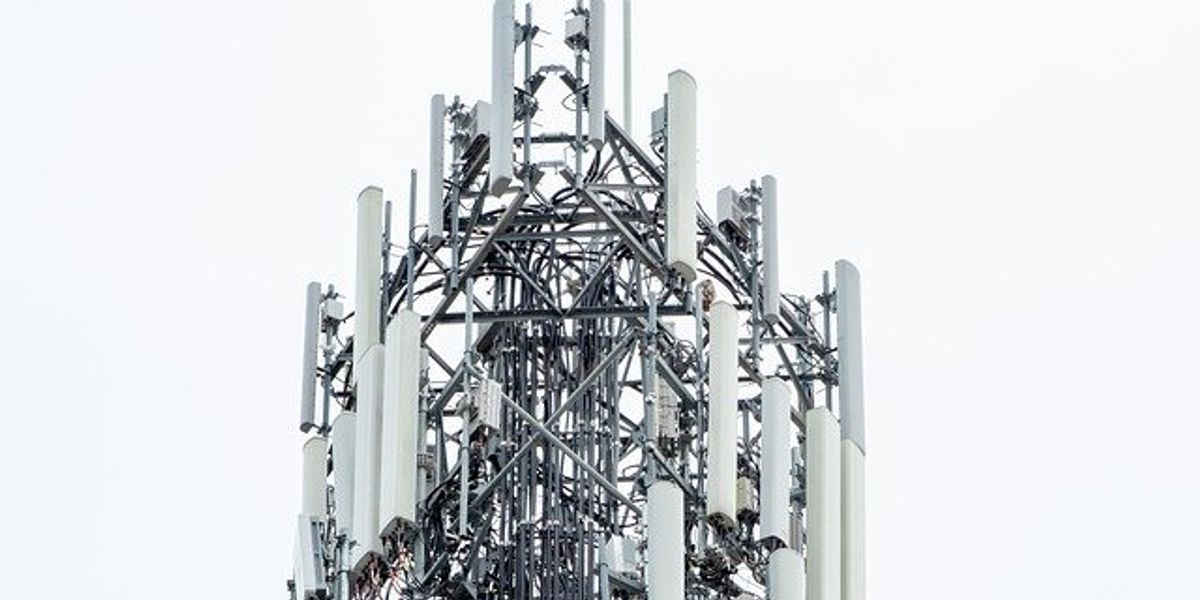 6G radiation impacts male rat fertility rates, new study finds