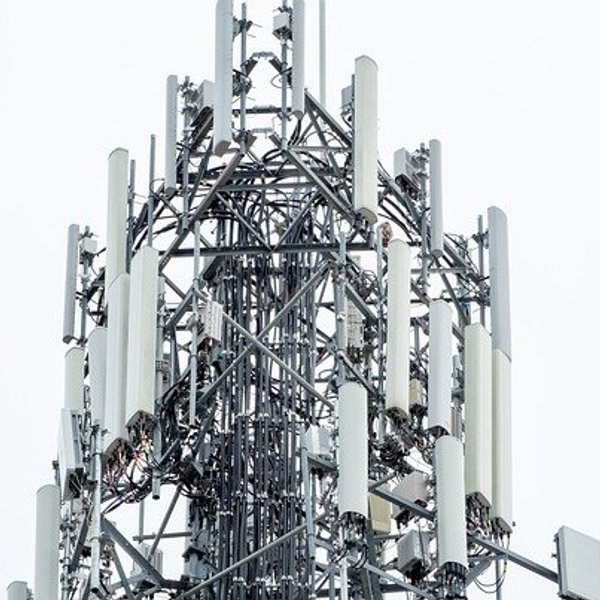 6G radiation impacts male rat fertility rates, new study finds