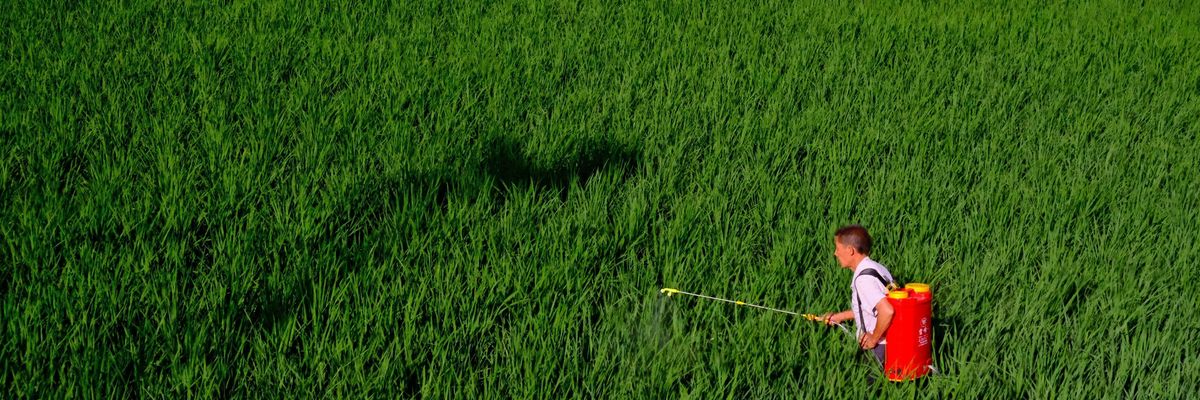 Another PFAS-containing pesticide headed for US registration