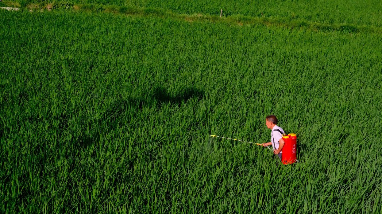 Another PFAS-containing pesticide headed for US registration