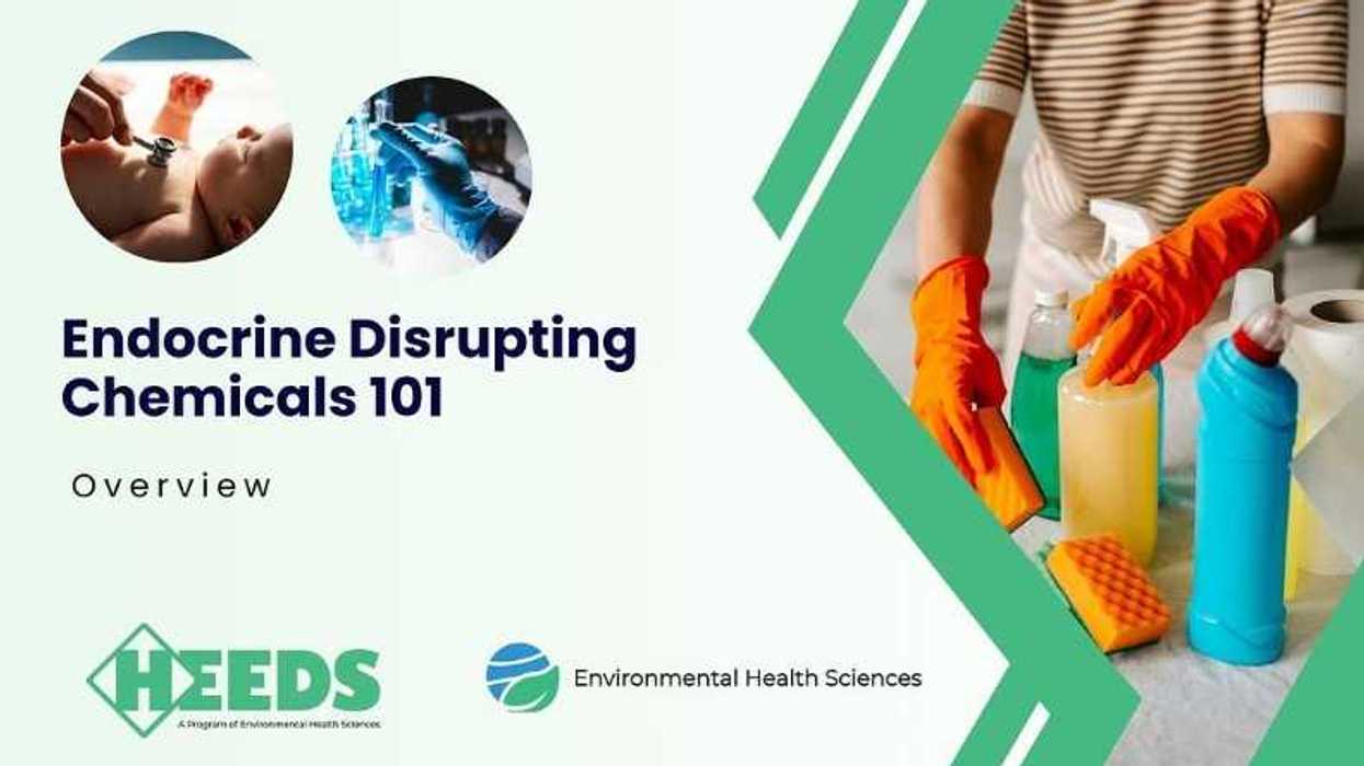 New online course: EDCs 101