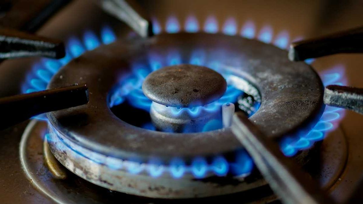 photo of The U.S. EPA halted a study on gas stoves and asthma. But even partial results were striking image