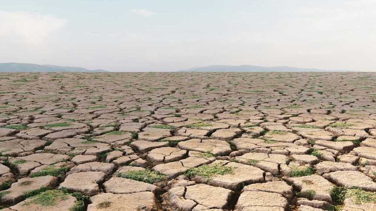 ‘Forcing a reckoning’: How Asia is preparing for a ‘supersized’ El Niño